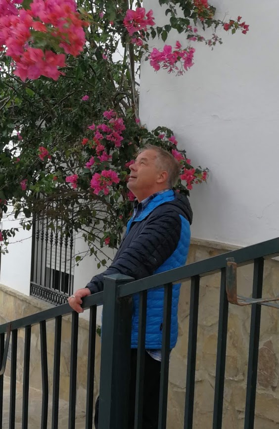 Ardeles